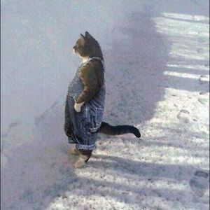 Meet your Posher, Omar